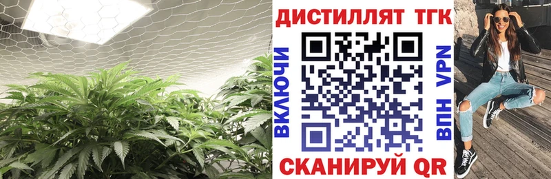 ТГК Wax  Лыткарино 